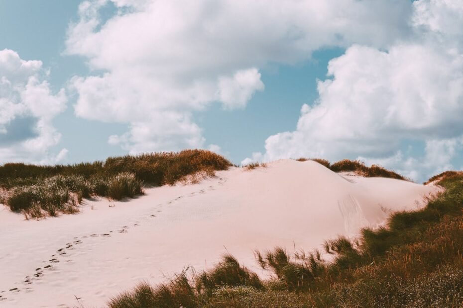 De fervedouros a dunas douradas: os cenários mais surreais do Brasil para quem ama natureza